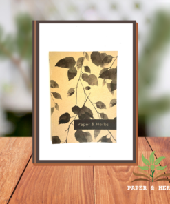 Paper and Herb Base Journal