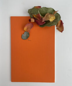 Cali Poppy Notebook